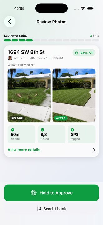 Before and after lawn photos